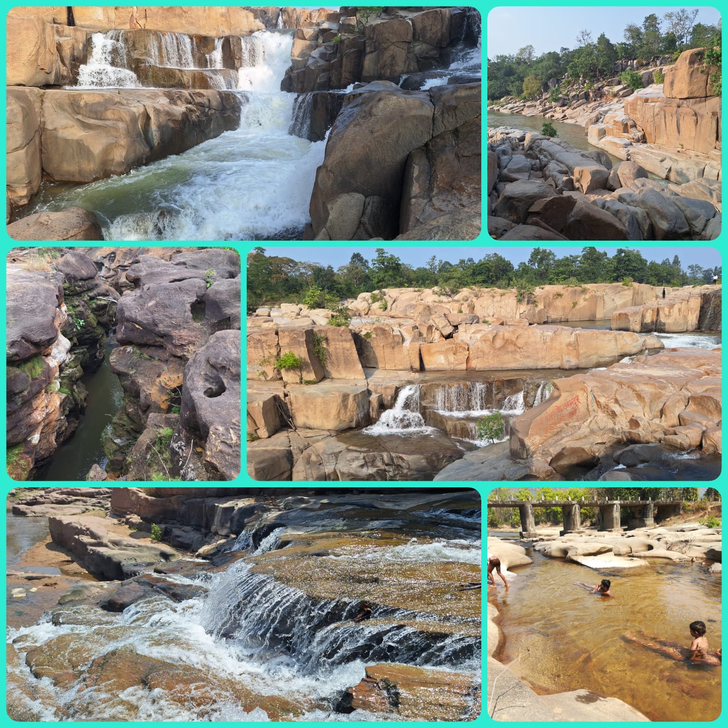 विशेष लेख