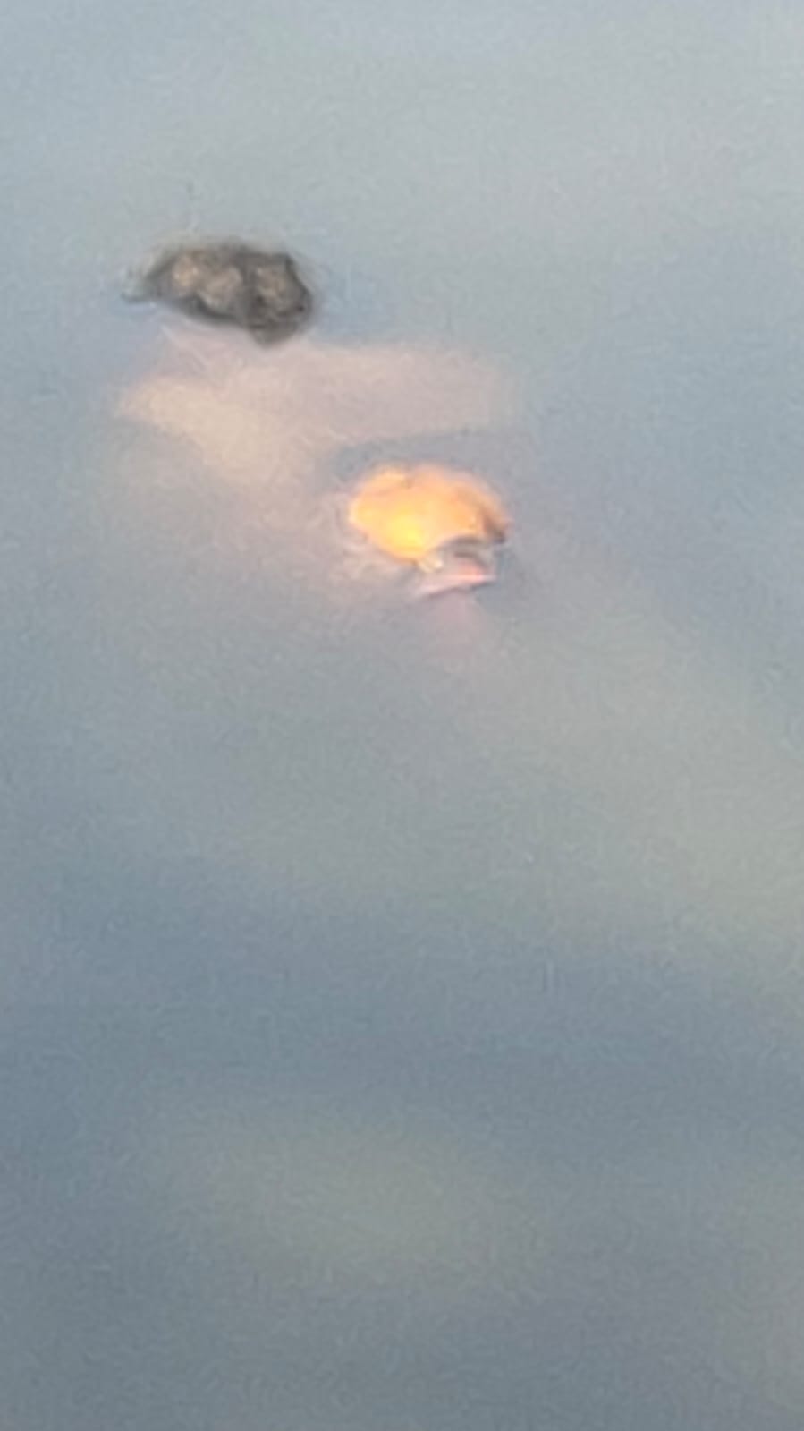 सारंगढ़ के नजदीकी ग्राम बटाउपाली ब के तालाब में मिली महिला की लाश